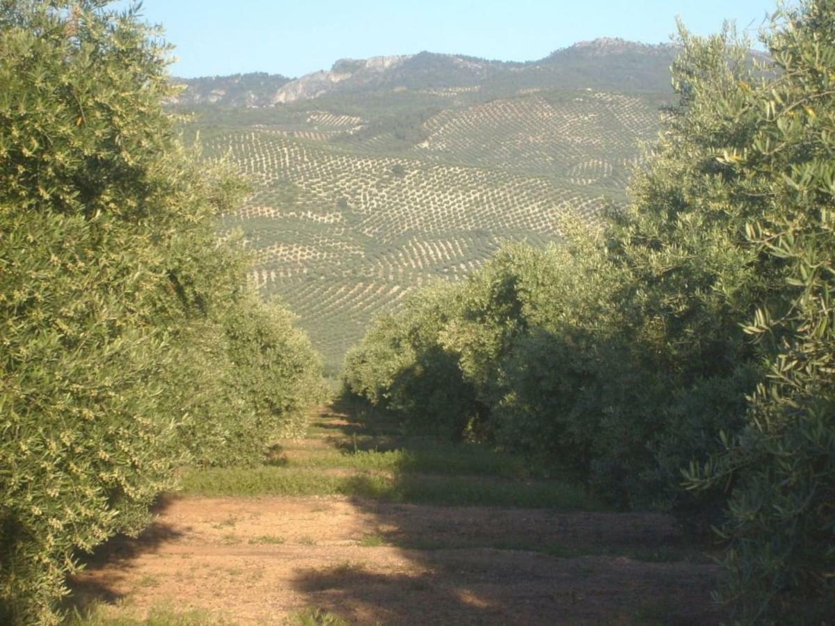 Cortijo El Derramadero Vila Villacarrillo Exterior foto